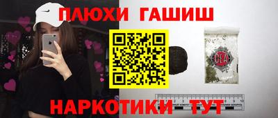 амф Гусев