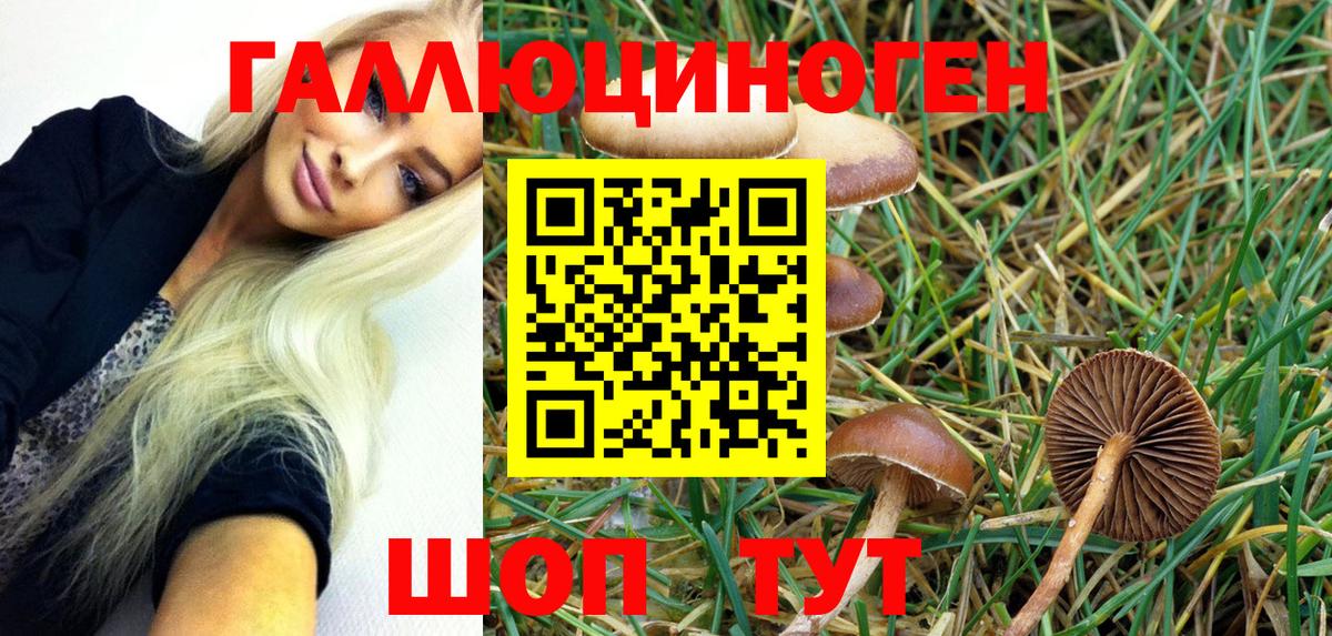 ГАШ Новотроицк